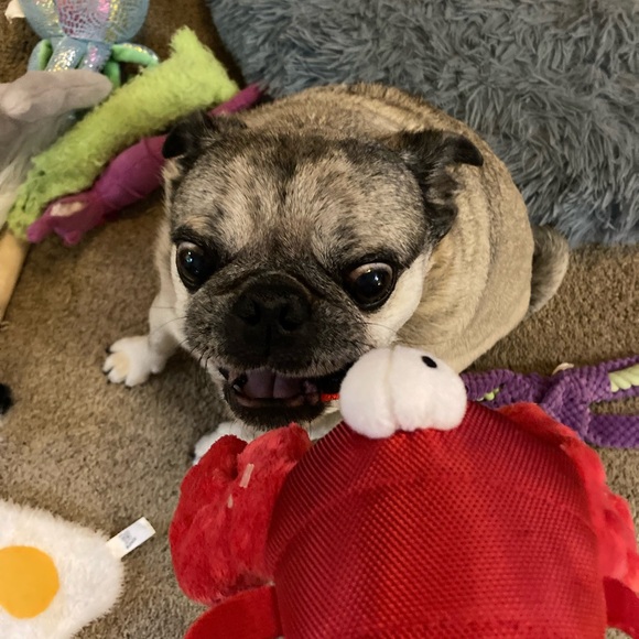 Meet your Posher, Lance - Picture 9 of 11